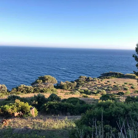 Amazing View