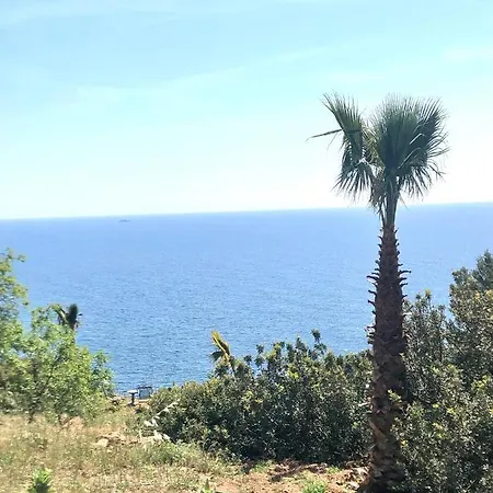 Amazing View *